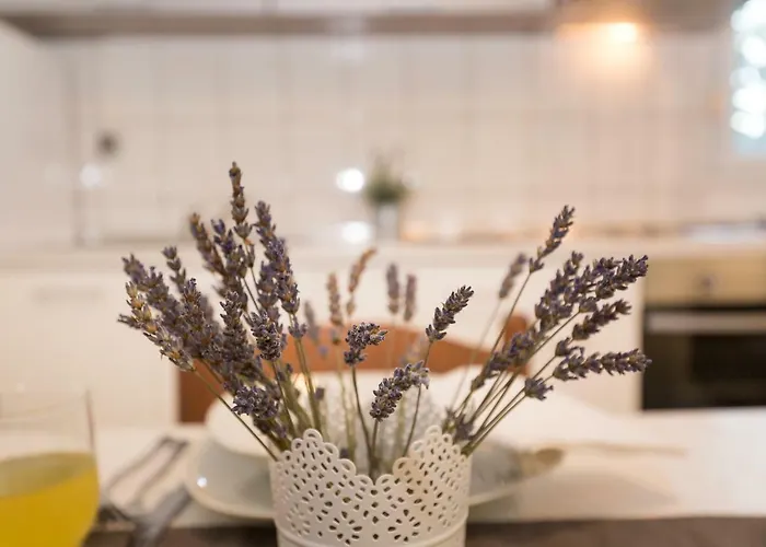 Cozy Josipa 公寓 普利拉卡