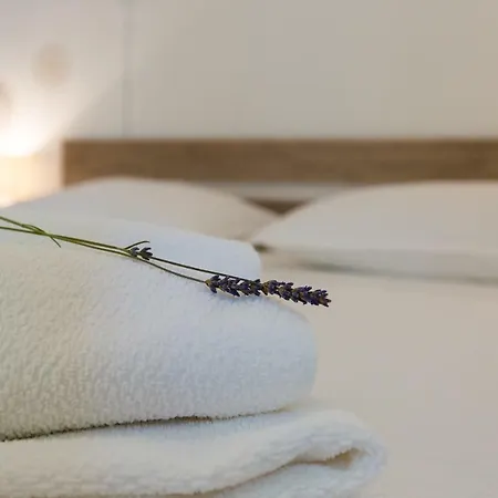Cozy Josipa Apartman