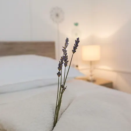 Cozy Josipa Apartment